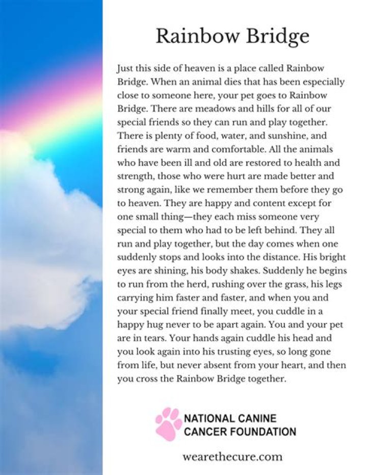 Is there a Rainbow Bridge poem for cats?