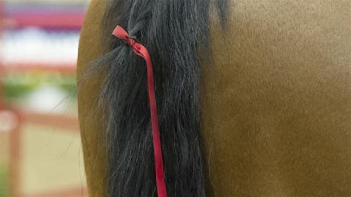 Is there a Red Ribbon in Maryland?