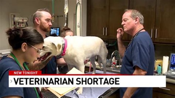 Is there a shortage of neonatologist?