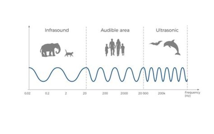 Is there a sound frequency that repels mice?