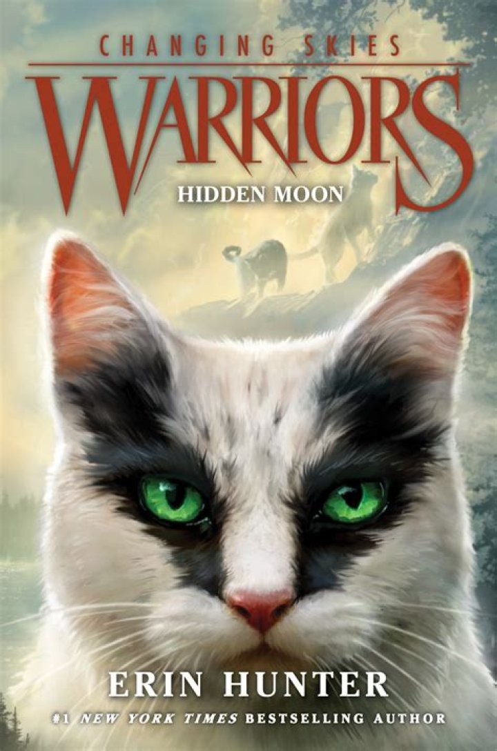 Is there a warrior character in No Name Woman?