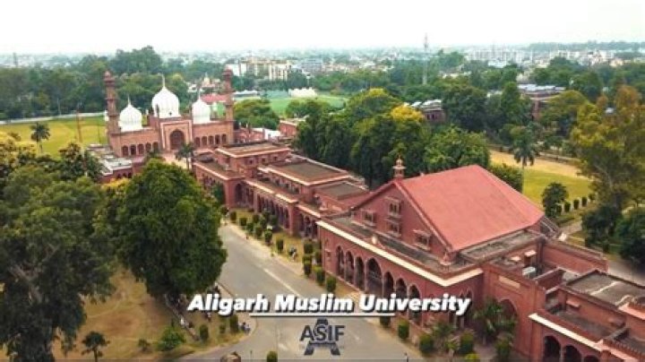 Is there MBBS in Aligarh Muslim University?
