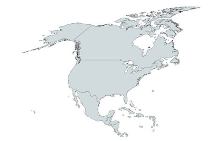 Is there Muji in America?