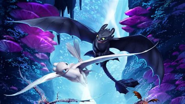 Is Toothless a Night Fury or a Light Fury?