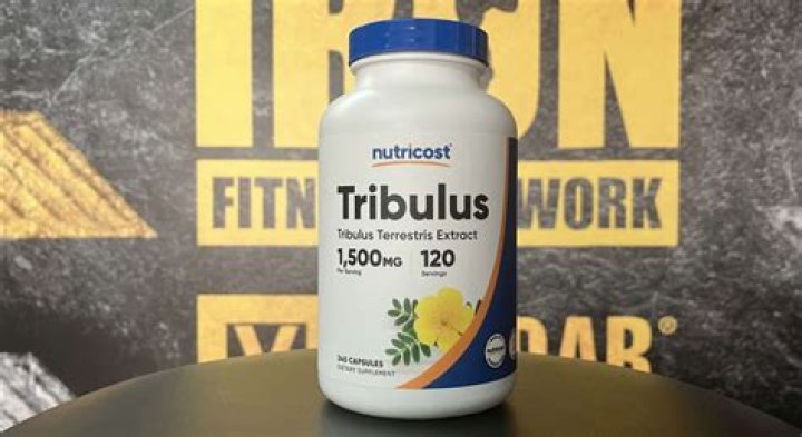 Is Tribulus good for working out?