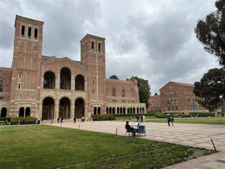 Is University of Chile a good school?