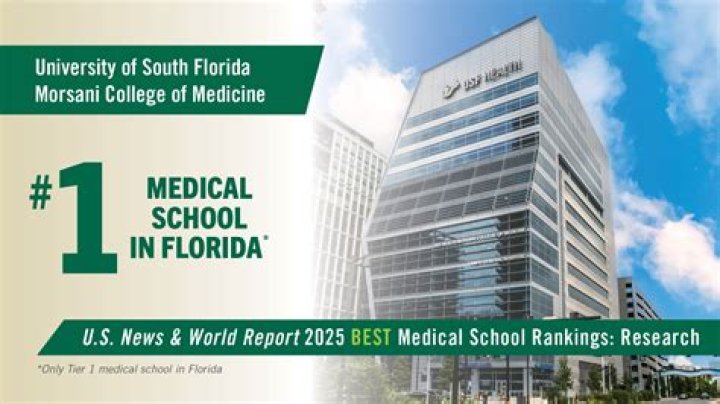 Is USF a Division 1 school?