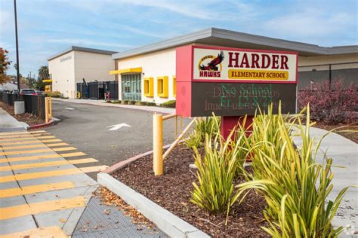 Is vet or med school harder?