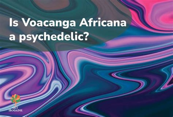 Is Voacanga Africana psychedelic?