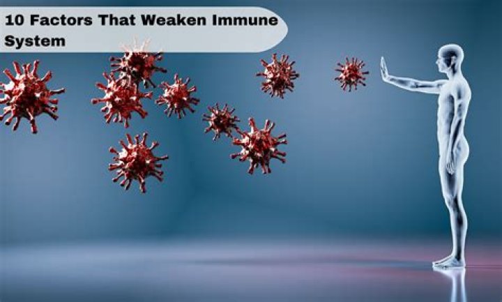 Is your immune system weakened when taking antibiotics?