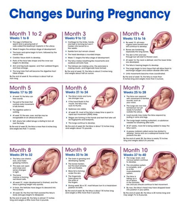 Is your Obgyn the one who delivers your baby?