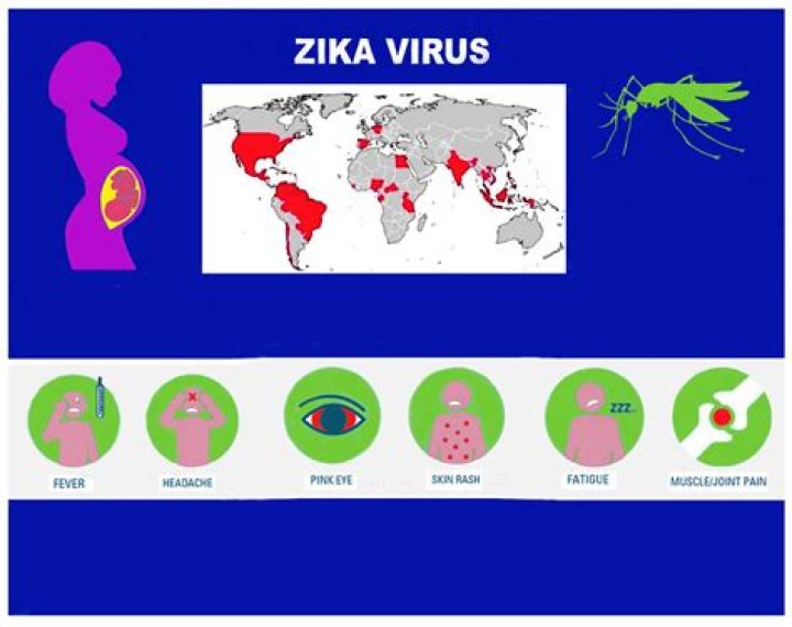 Is Zika still a travel concern?