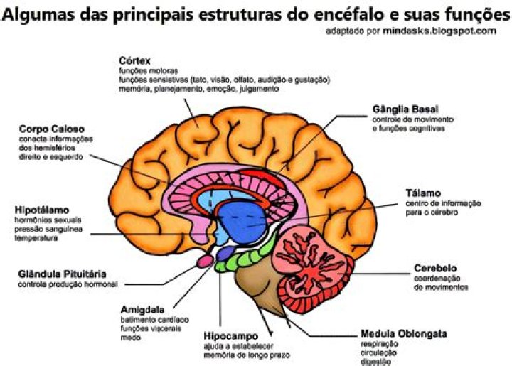 Quais as principais causas de dor na panturrilha?