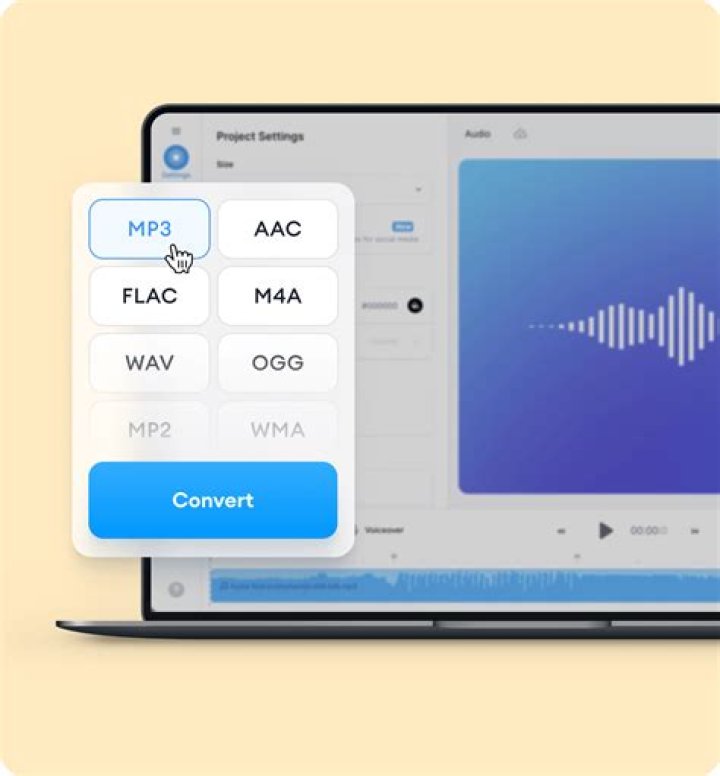 Quais sao os formatos do conversor MP3?