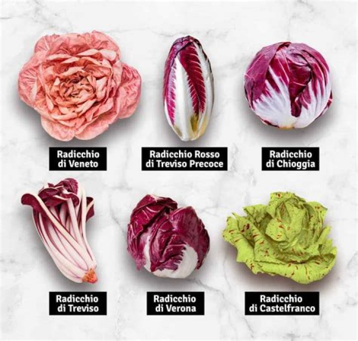 Qual e la varieta dei carciofi?
