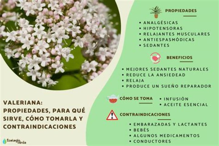 Que pasa al tomar valeriana?