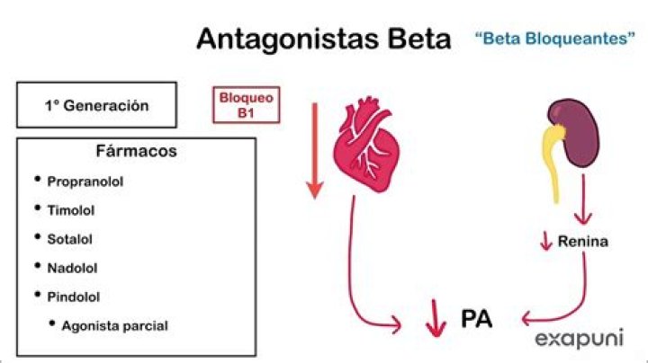 Que significa agonista beta?
