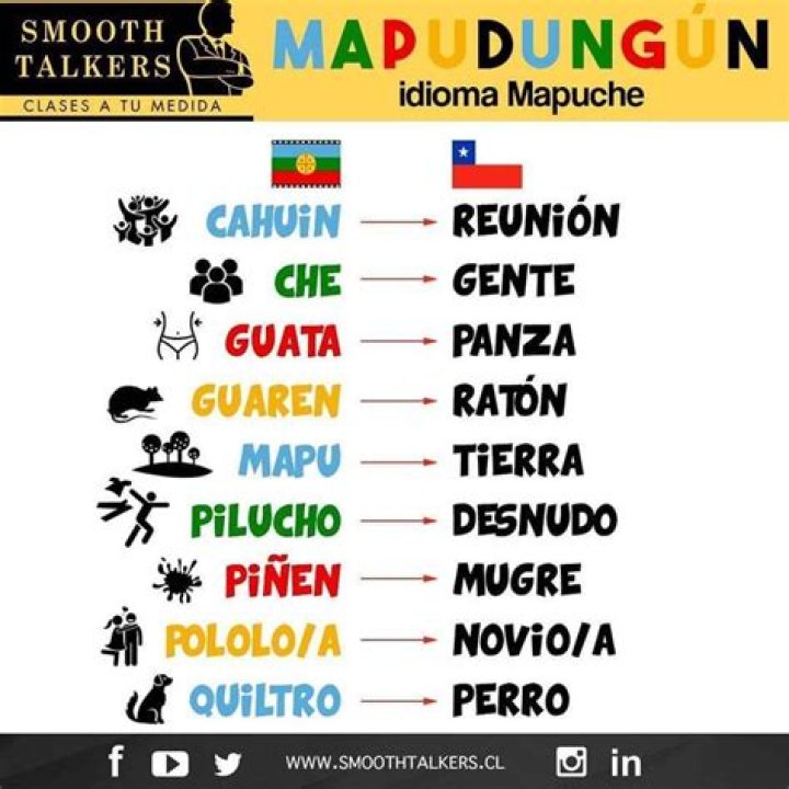 Que significa la palabra mapudungun?