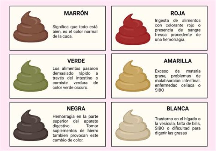Que significan las heces Palidas?