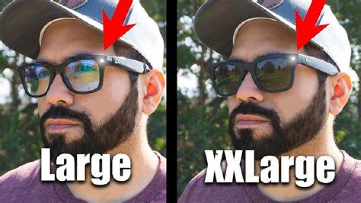 Should I get medium or large glasses?
