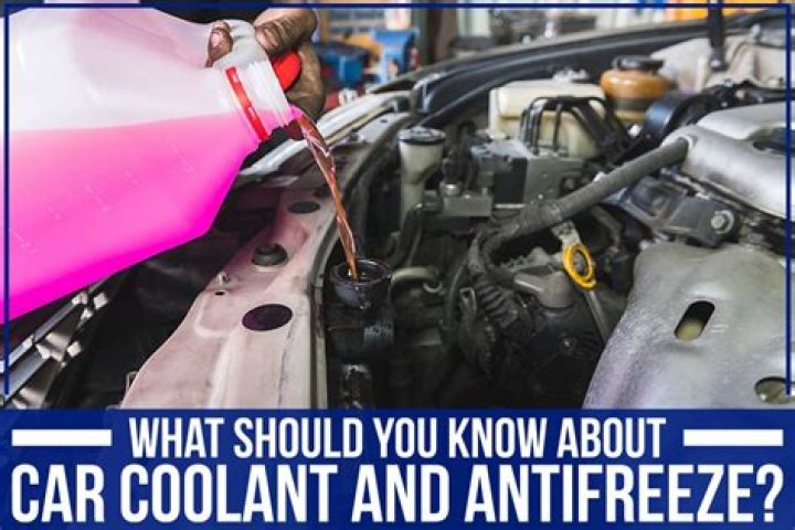 Should I put antifreeze in my holding tank?
