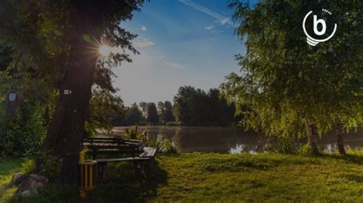 Should I take the GRE in the morning or afternoon?