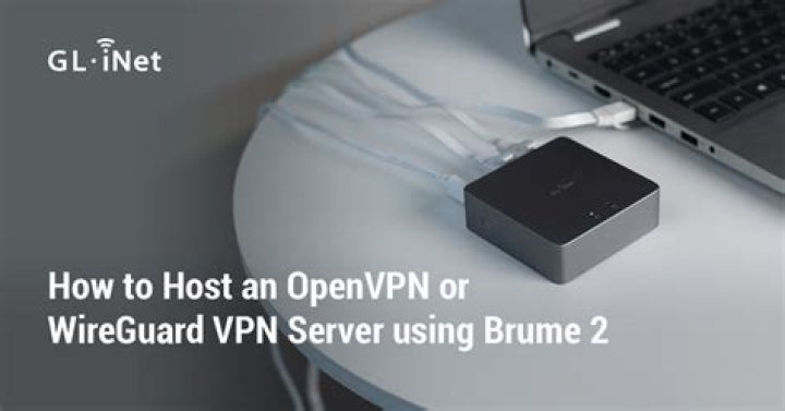 Should I use OpenVPN or WireGuard?