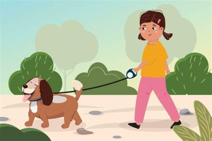 Should I walk my dog on an empty stomach?