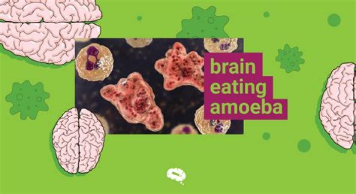 Should I worry about brain-eating amoeba?