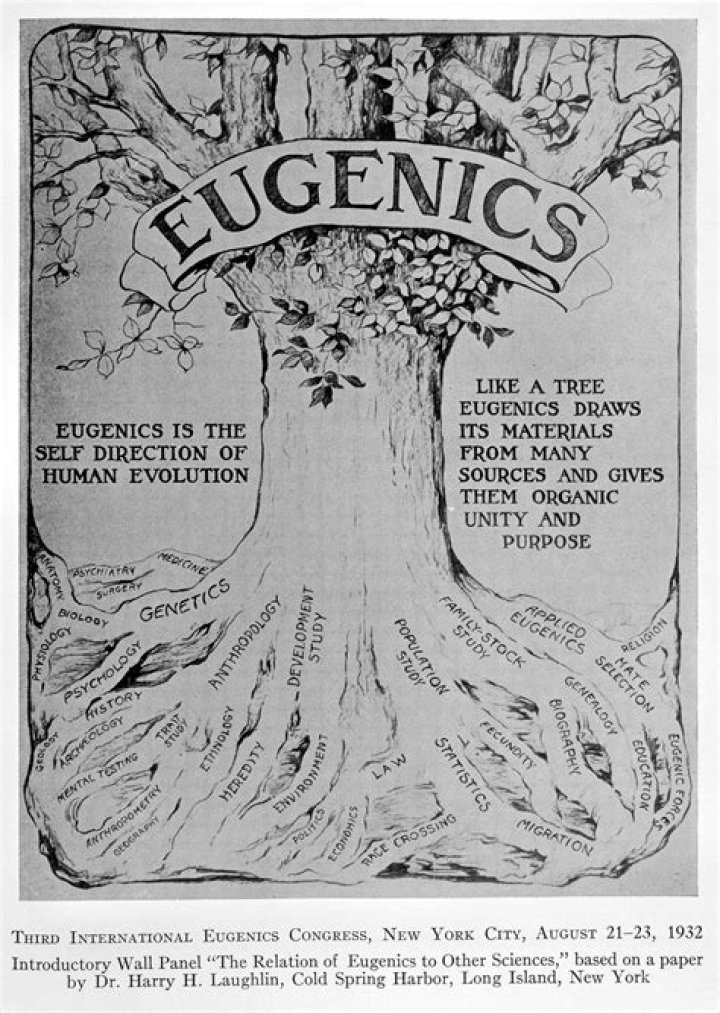 Was there a eugenics movement in the US?