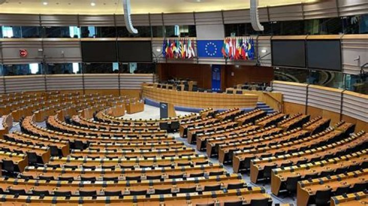 Wat is het Europees Parlement?