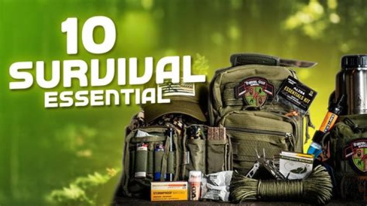 What 7 things do you need for survival?