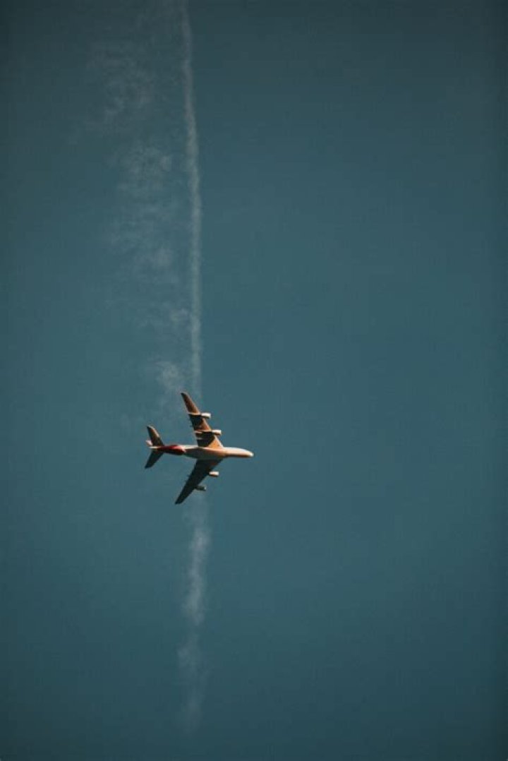 WHAT A levels do you need to be a pilot?