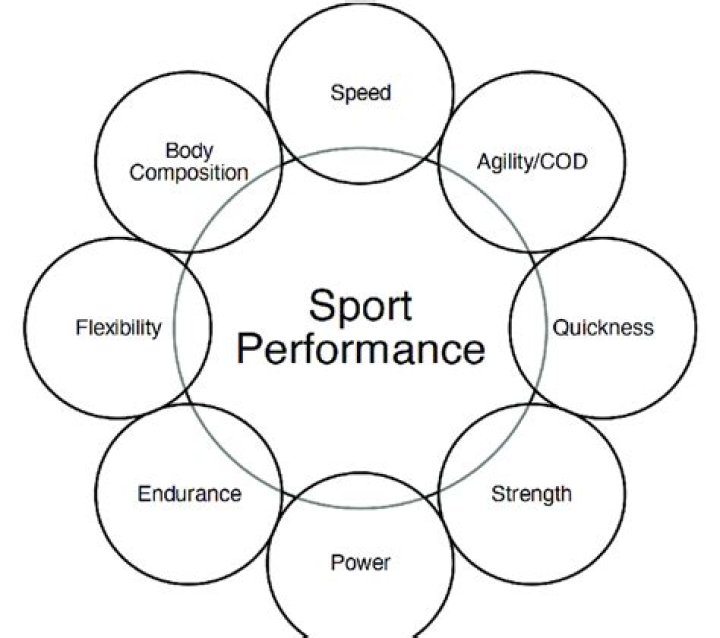 What affects sport performance?