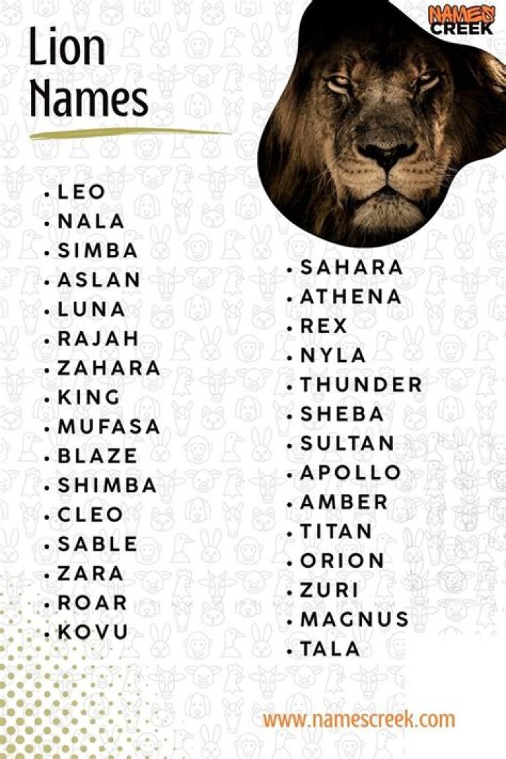 What African name means lion?