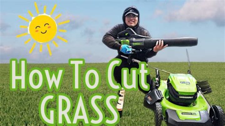 What age can you start cutting grass?