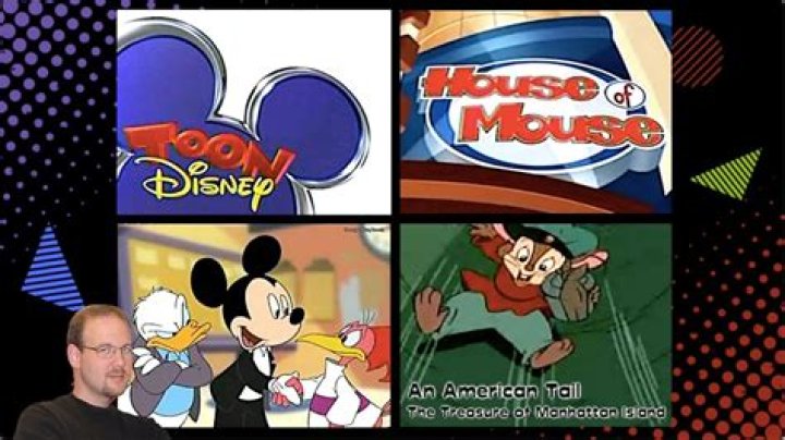 What aired on Toon Disney?