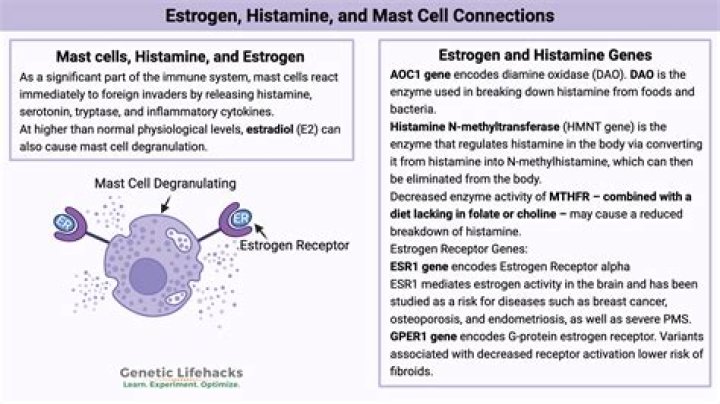 What anesthesia drugs release histamine?
