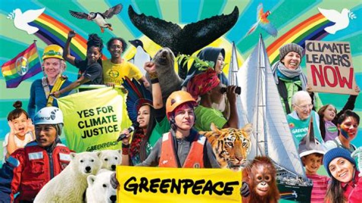 What animal activist Organisations are there?