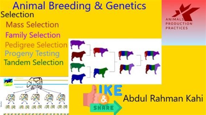 What animal breeding is profitable?
