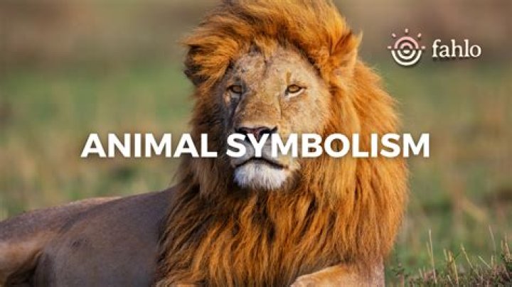 What animal represents August?