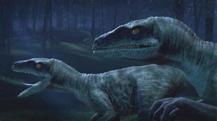 What animal was the equivalent of the velociraptor in Jurassic Park?