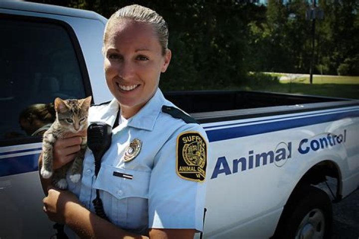 What animals do animal control officers deal with?