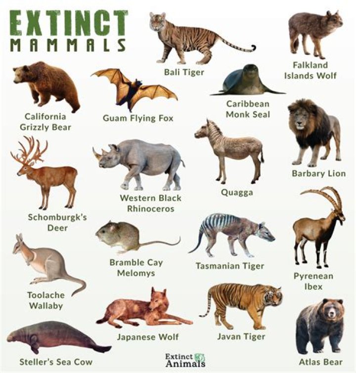 What animals is New Jersey known for?