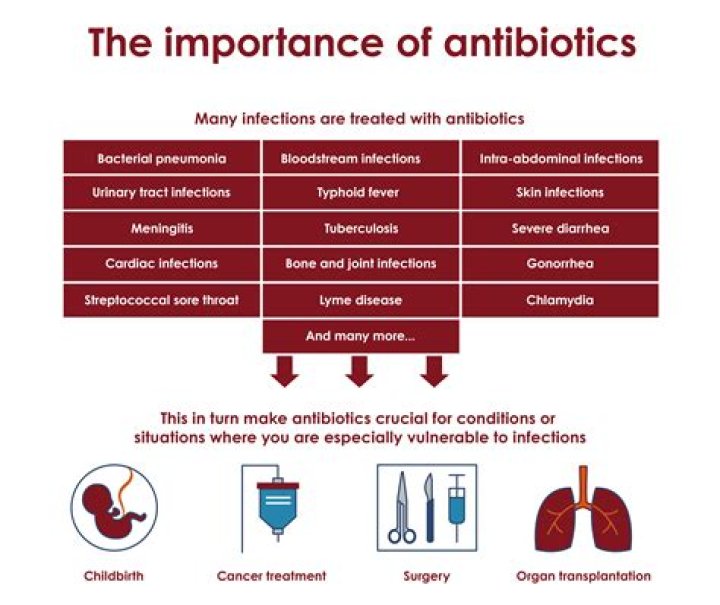 What antibiotics are used to treat salivary gland infection?