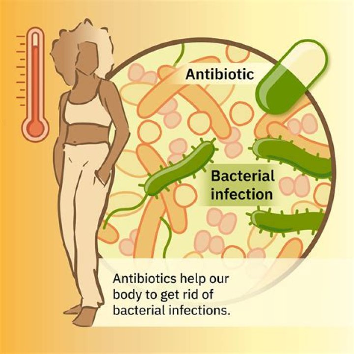 What antibiotics treat Bacteroides?