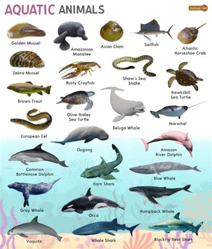 What are 2 biomes in the marine ecosystem?