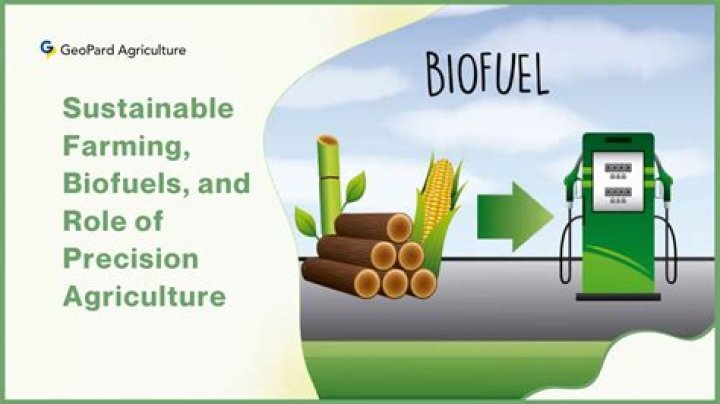What are 3 advantages of biofuel?