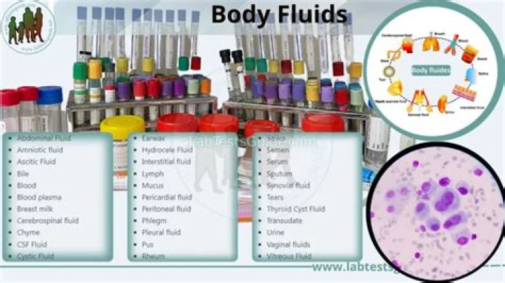 What are 3 bodily fluids that are infectious?