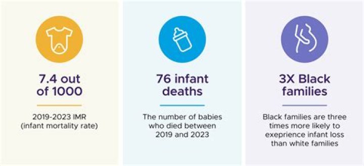 What are 3 main reasons for infant mortality in the US?